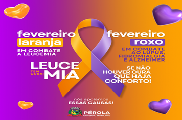 FEVEREIRO LARANJA E ROXO