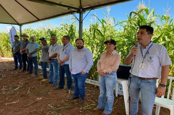 PÉROLA REALIZA DIA DE CAMPO EM PARCERIA COM O IDR-PARANÁ.